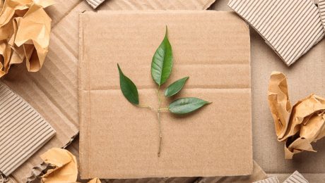 مزایای بازیافت کاغذ چیست؟ و چگونه بازیافت کاغذ به محیط زیست کمک می کند؟